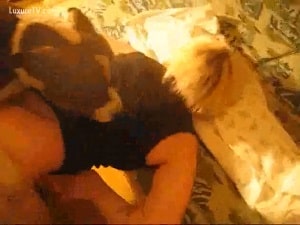 Русское зоо порно: женщина приобретает гигантский секс с собакой